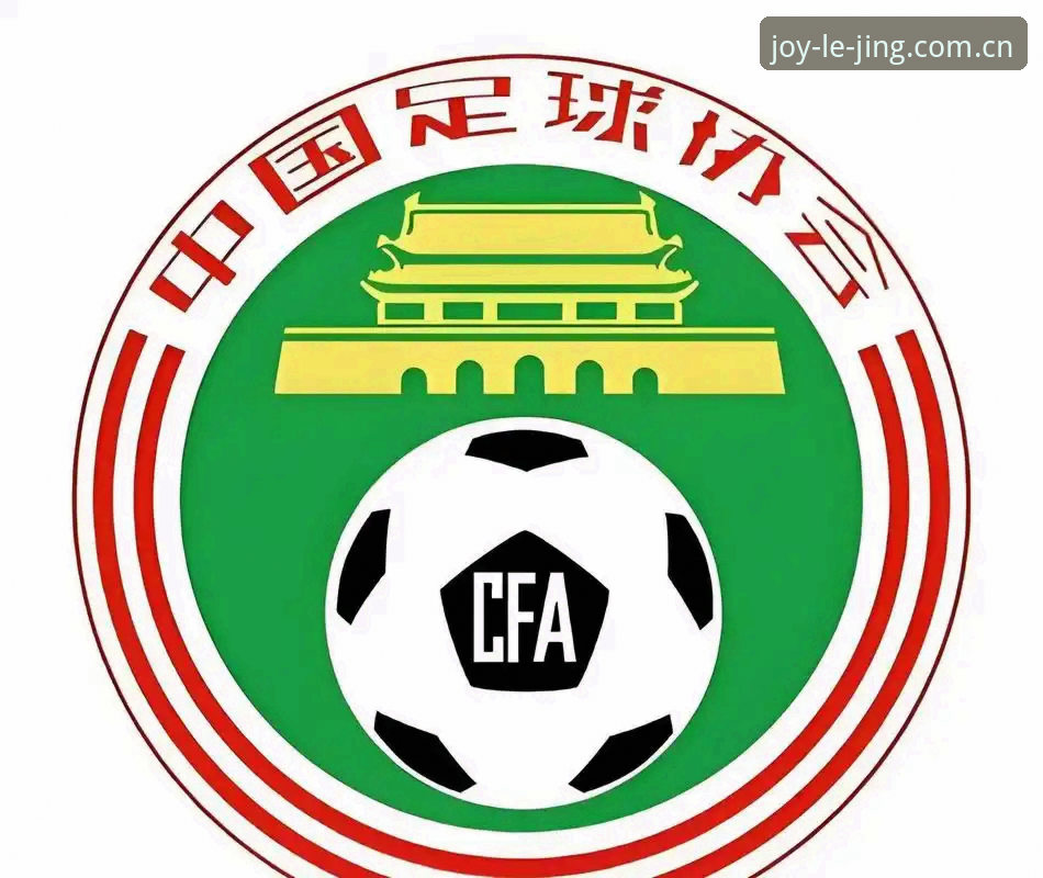 中国足协第三批禁足名单全面解析：17人终身禁赛背后的行业重构信号